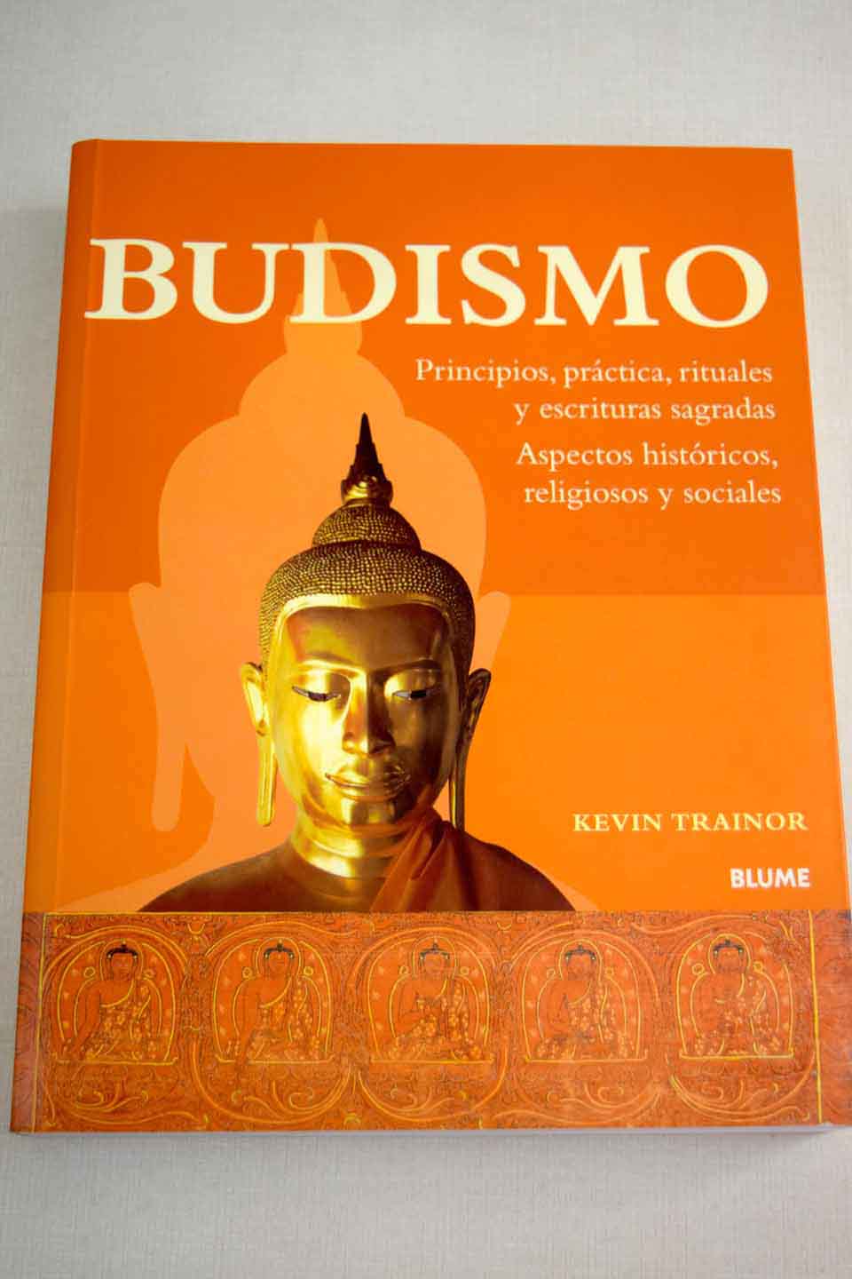 Budismo: Principios, Práctica, Rituales Y Escritura Sagradas : Aspectos ...